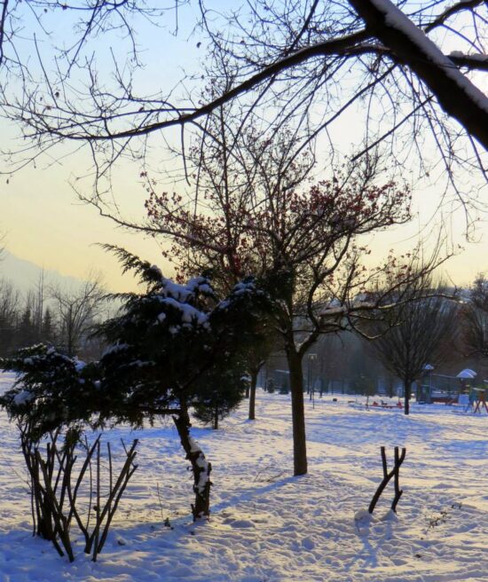 sarajevo jutro januar zima mina coric 2015