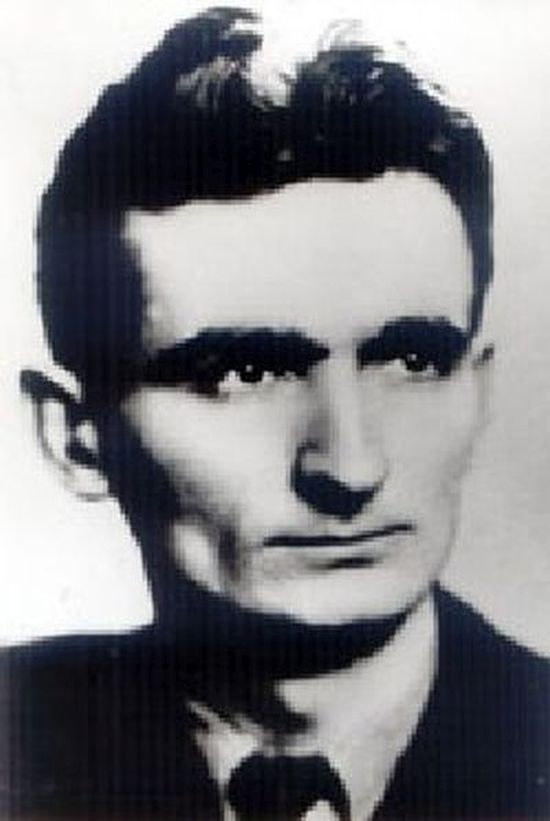 Vladimir Peric Valter