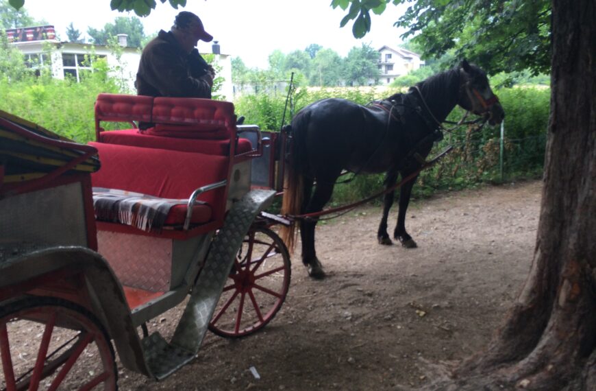 Donesene odluke o prevozu fijakerima